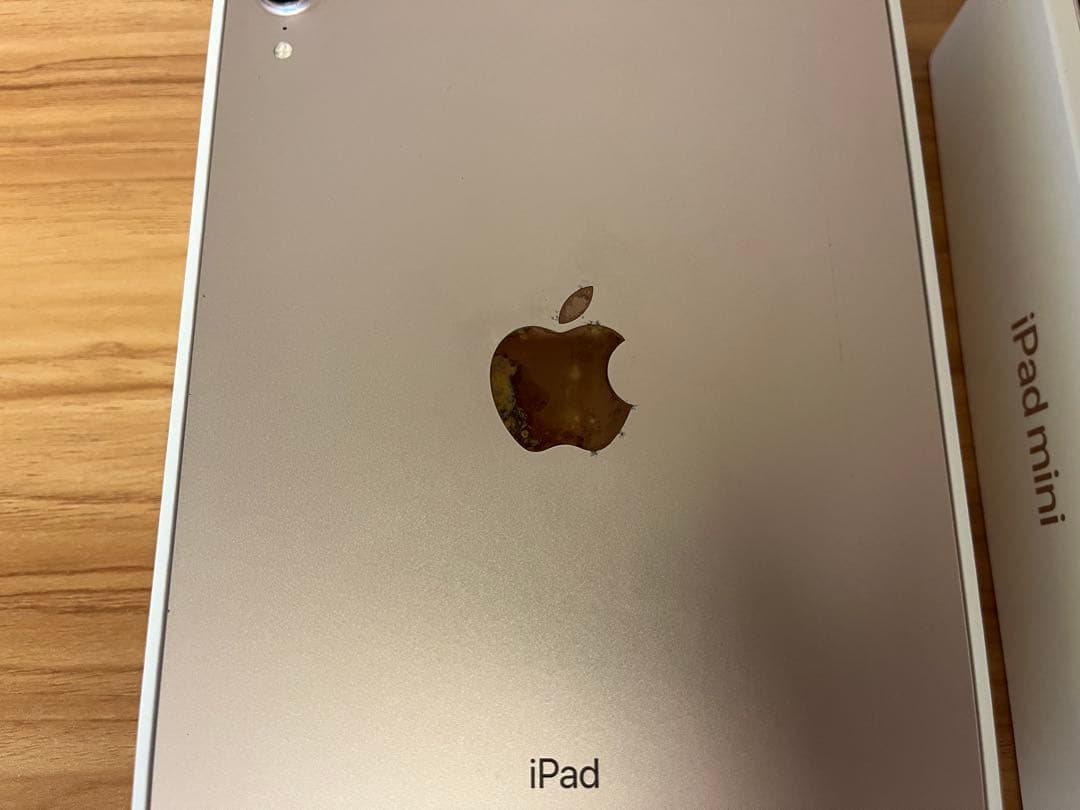 Apple iPad mini ピンク 本体（第6世代）