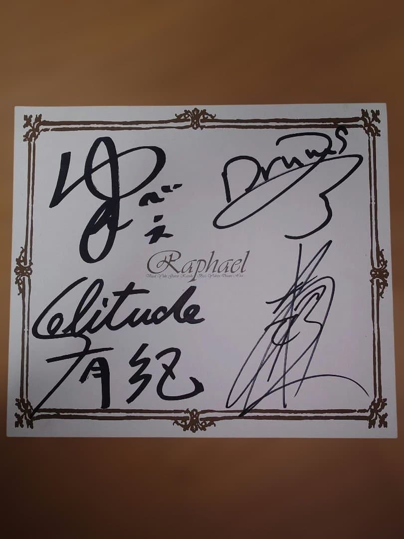 Raphael 日本武道館 DVD　おまけ付き