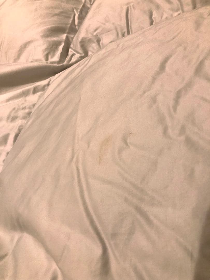 東京西川　シーアイランドコットン　海島綿 ハンガリーグースダウン90% 1.3