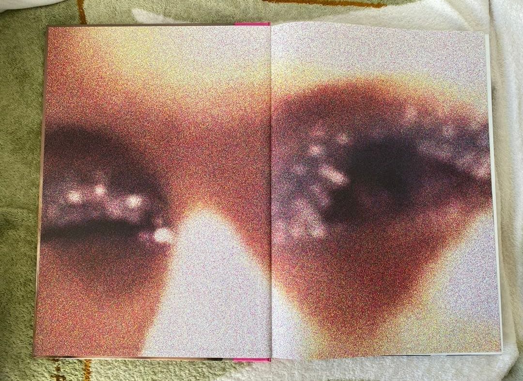 希少品 Raf Simons / Taschen /Terry Jones写真集