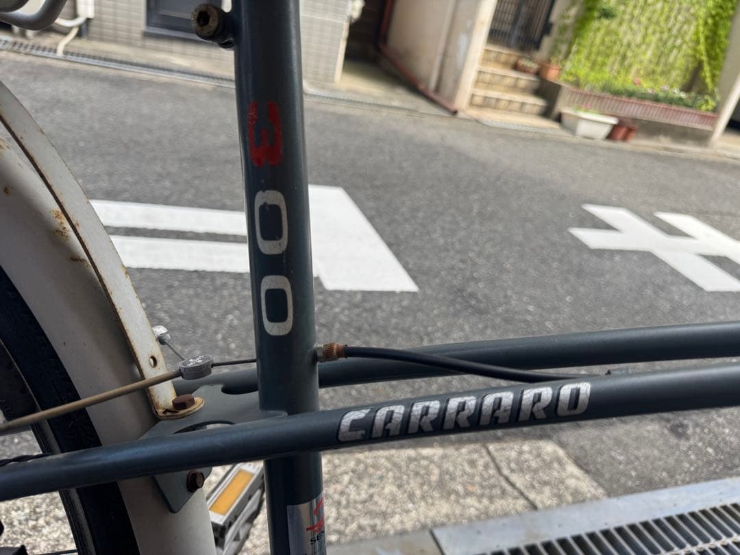 アイルトンセナ自転車