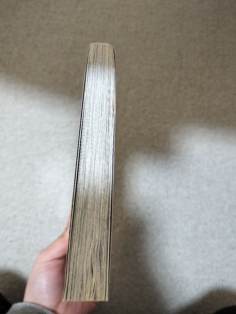 氷の魔物物語 外伝 SILVER DIAMOND 杉浦志保 漫画