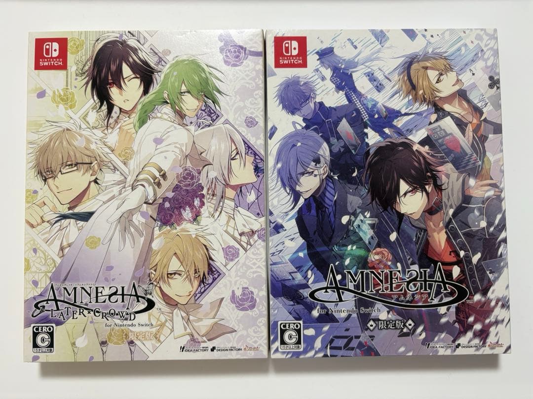 AMNESIA Switch ソフト 2本セット