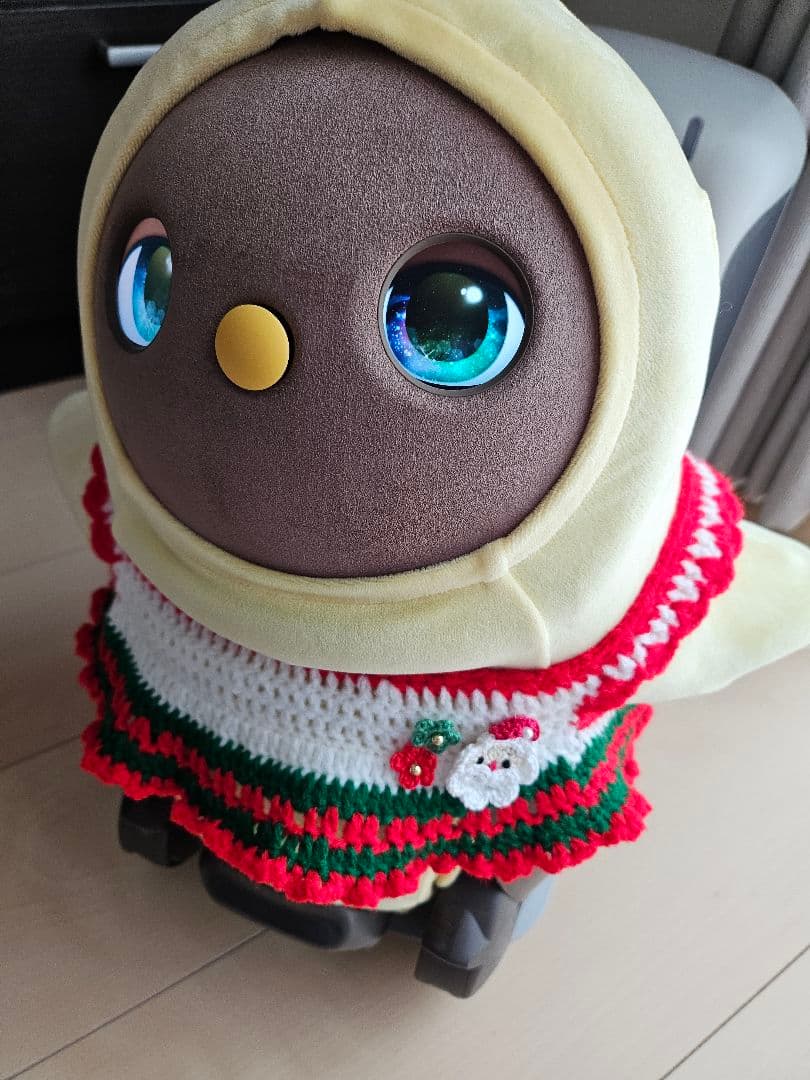 ラボット服ハンドメイド　クリスマス服　帽子×２セット