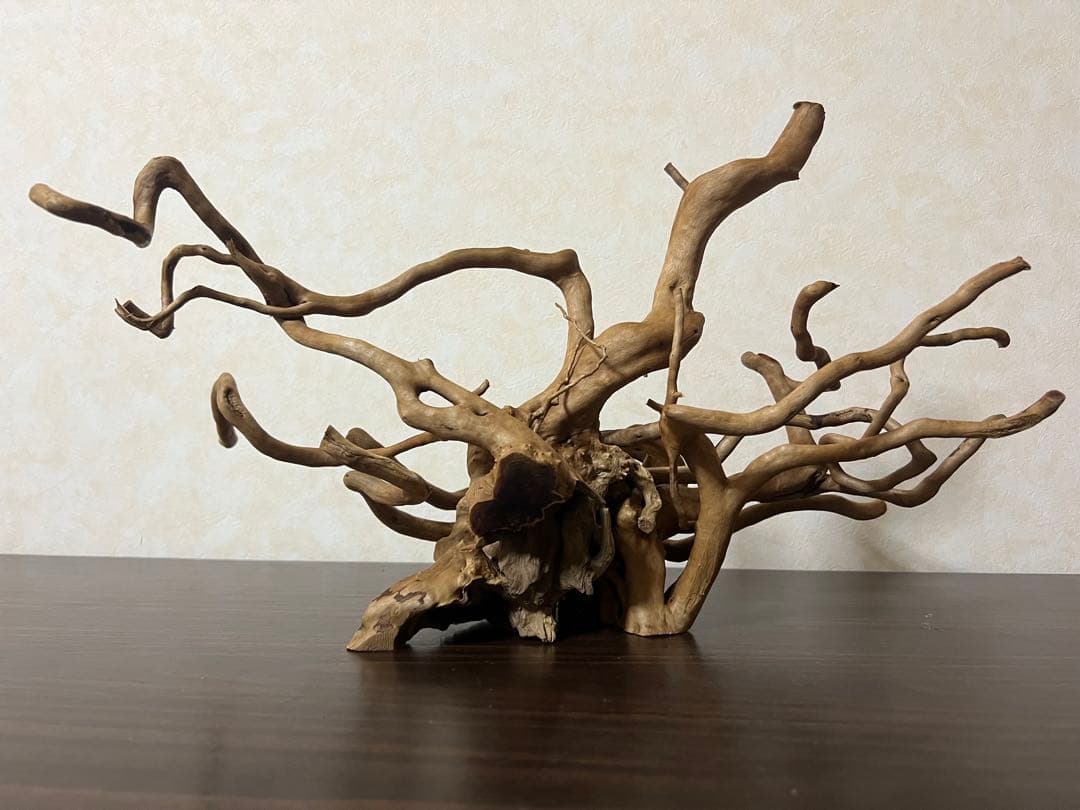 70215 ブランチウッド　流木　アクアリウム　沈水確認済