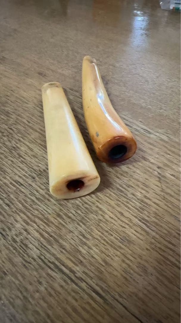 鯨の歯☆パイプ