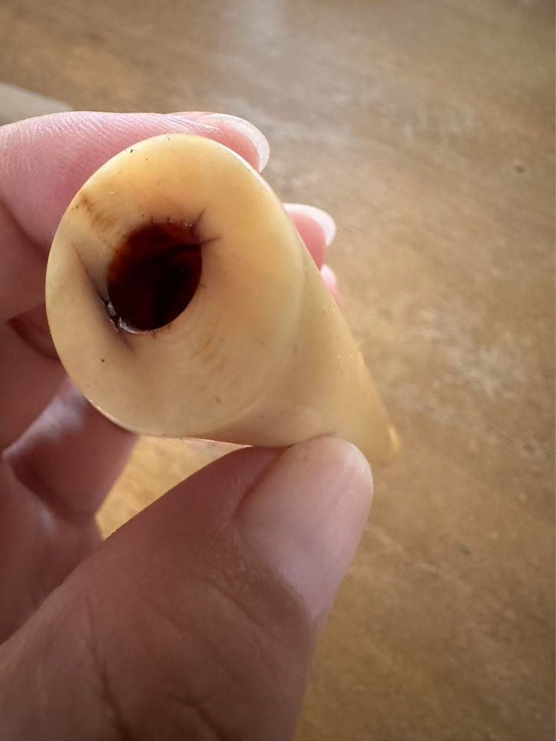 鯨の歯☆パイプ