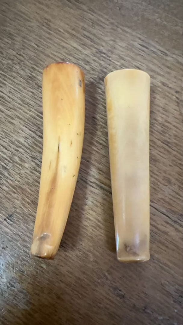 鯨の歯☆パイプ