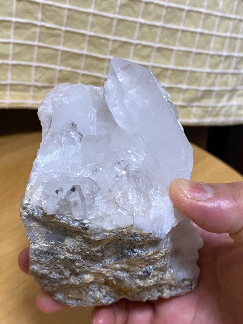 MGM【オールドストック・証明書あり】メロディ グリーン マイン