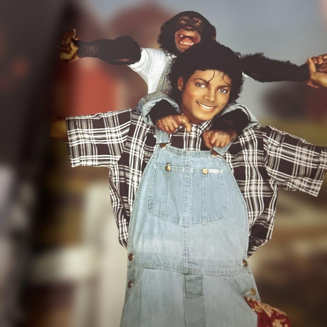 貴重⭐️マイケルジャクソンスリラー25 周年本Thriller The Book