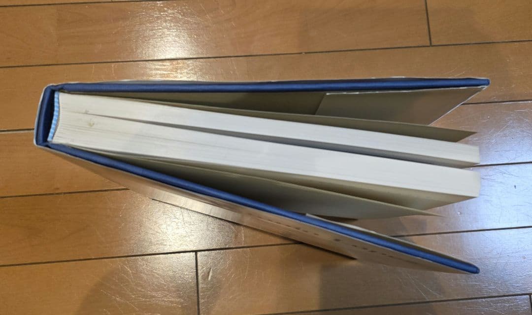 アントニオ・ロペス 画集 Antonio Lopez Art Book