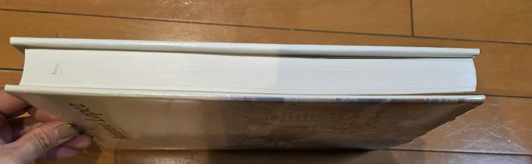 アントニオ・ロペス 画集 Antonio Lopez Art Book