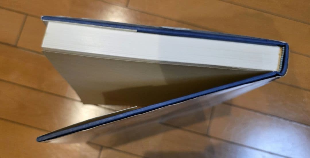 アントニオ・ロペス 画集 Antonio Lopez Art Book