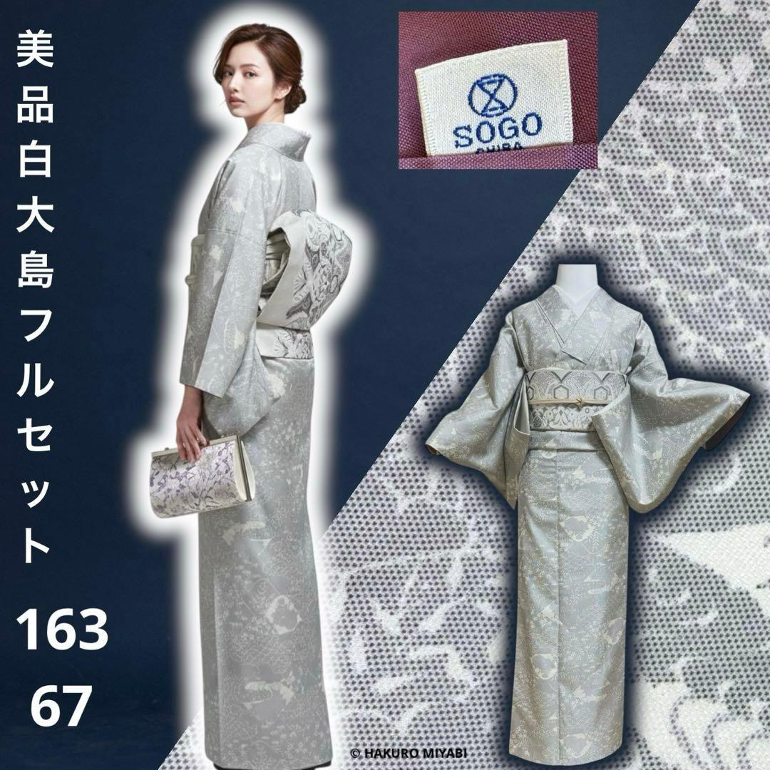 未使用近い　SOGO 美品　袷　正絹　白紬　大島　白大島　小紋　フルセット