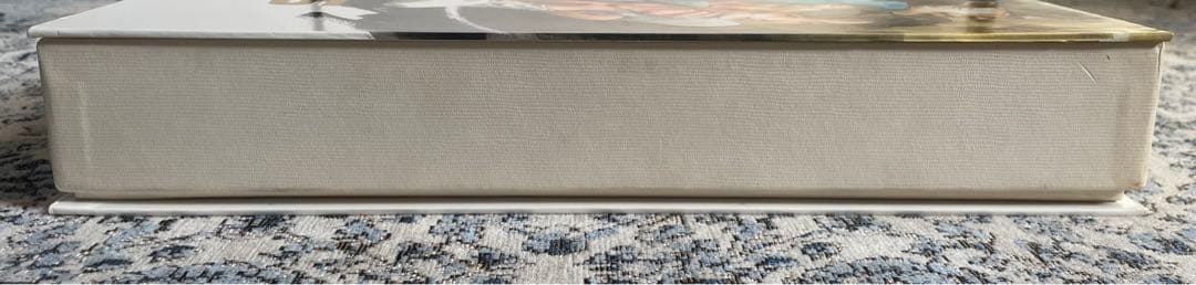 サザンクロス　ORGUSS レーザーディスク パーフェクトコレクション