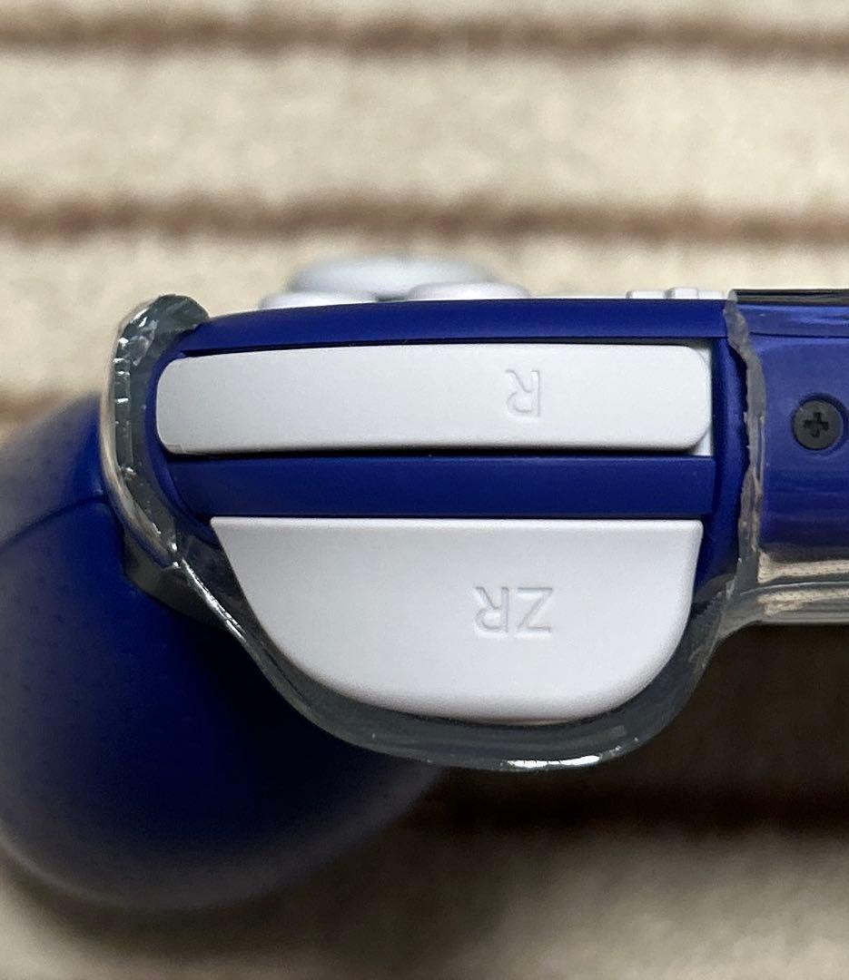 り*め様 【2025年製】【美品】【いいね少ない今が狙い目】SwitchLite