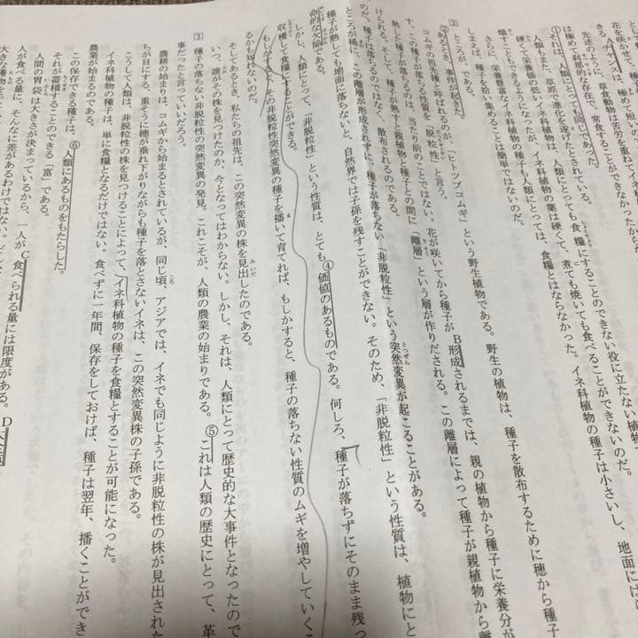 no22503101_【浜学園】小6　関大・同志社・立命館　プレ入試テスト3教科