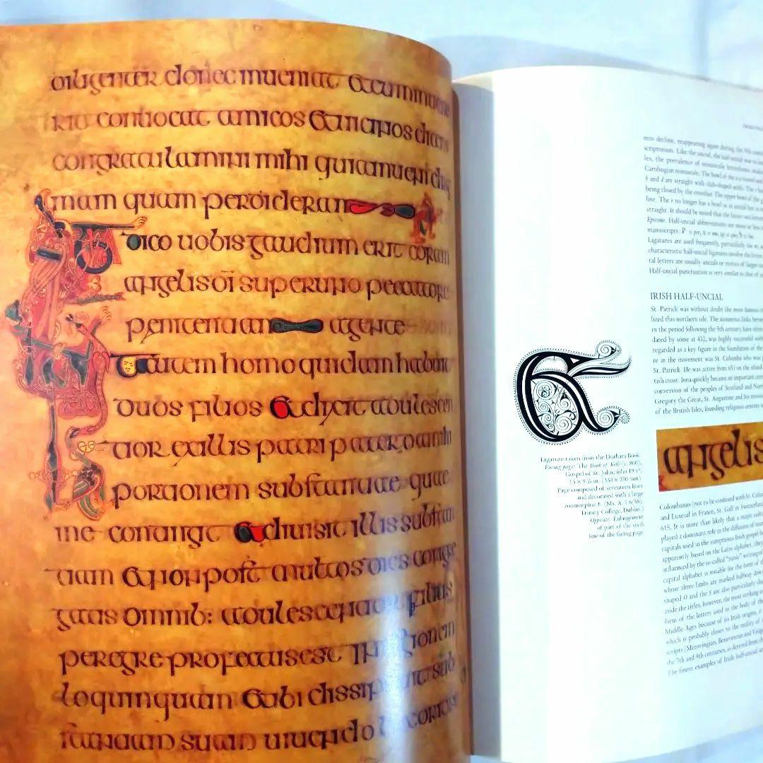 カリグラフィー　アート　洋書　英語　ヴィンテージ本