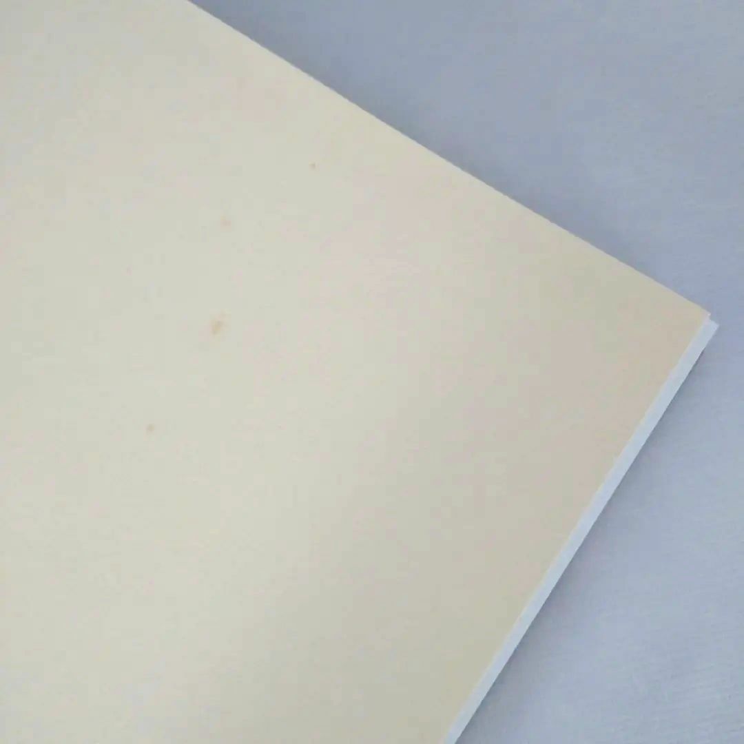 カリグラフィー　アート　洋書　英語　ヴィンテージ本