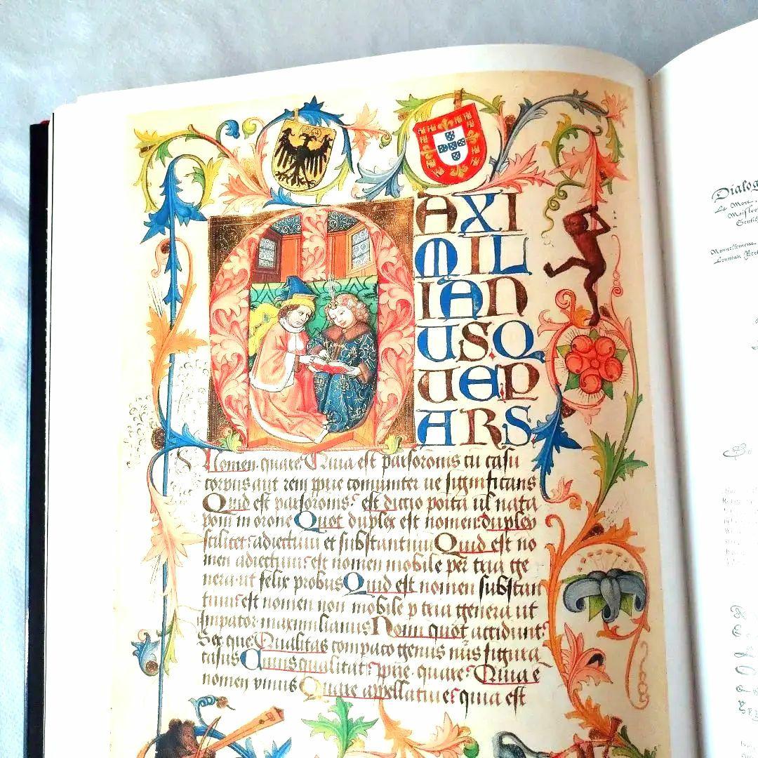 カリグラフィー　アート　洋書　英語　ヴィンテージ本