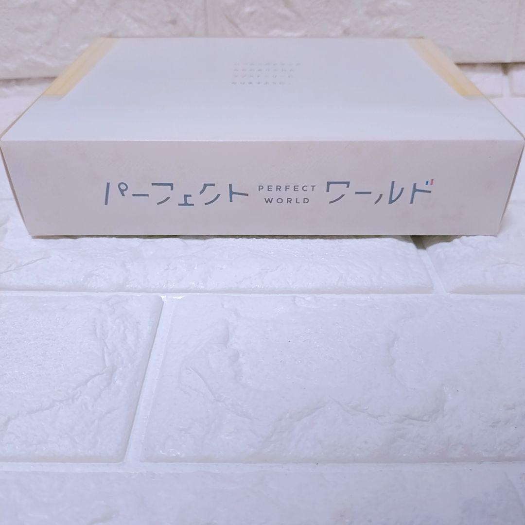 パーフェクトワールド DVD 7枚組 松坂桃李 山本美月 瀬戸康史 カンテレ
