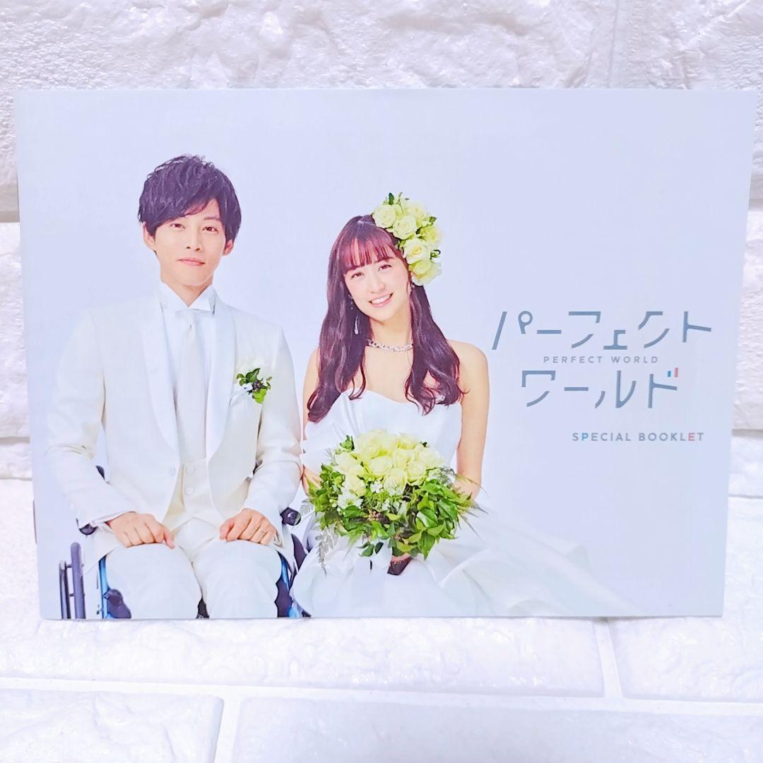 パーフェクトワールド DVD 7枚組 松坂桃李 山本美月 瀬戸康史 カンテレ