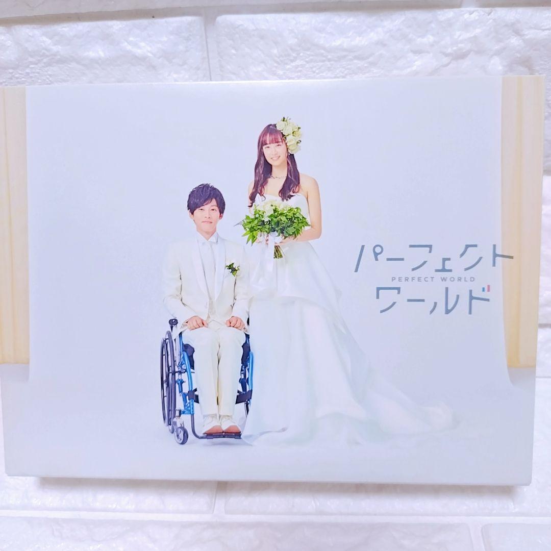 パーフェクトワールド DVD 7枚組 松坂桃李 山本美月 瀬戸康史 カンテレ