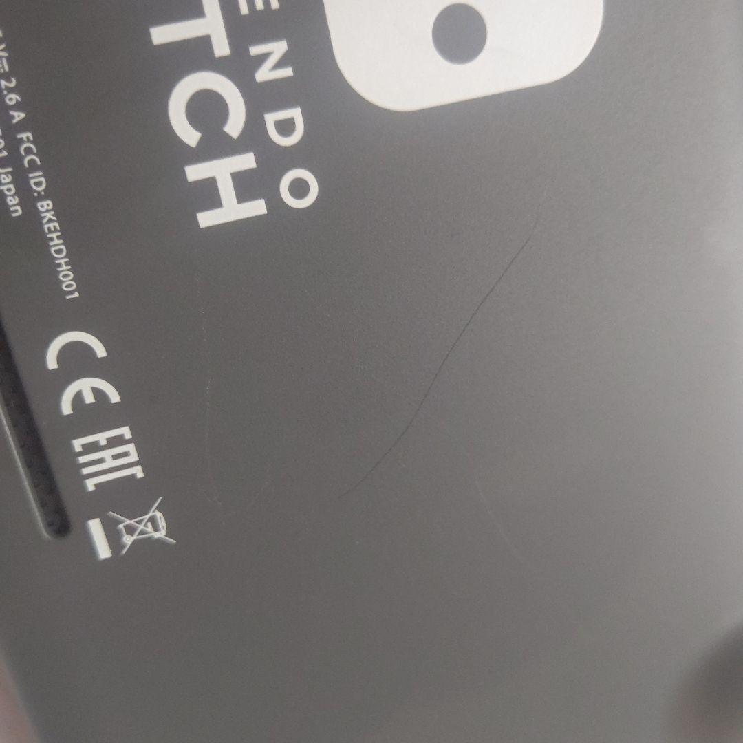 Switch Lite　グレー　透明本体カバー付き