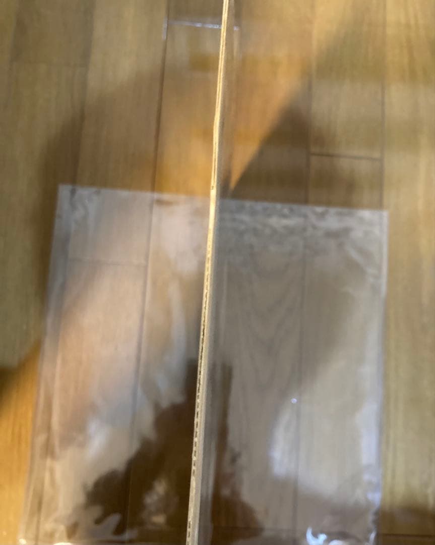 稀少インドオリジナルRevolverリボルバーBeatlesビートルズレコード