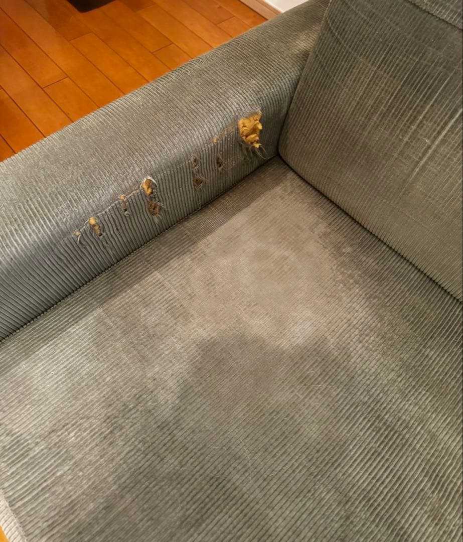 raven　ジャーナルスタンダードファニチャー　オリーブグリーン