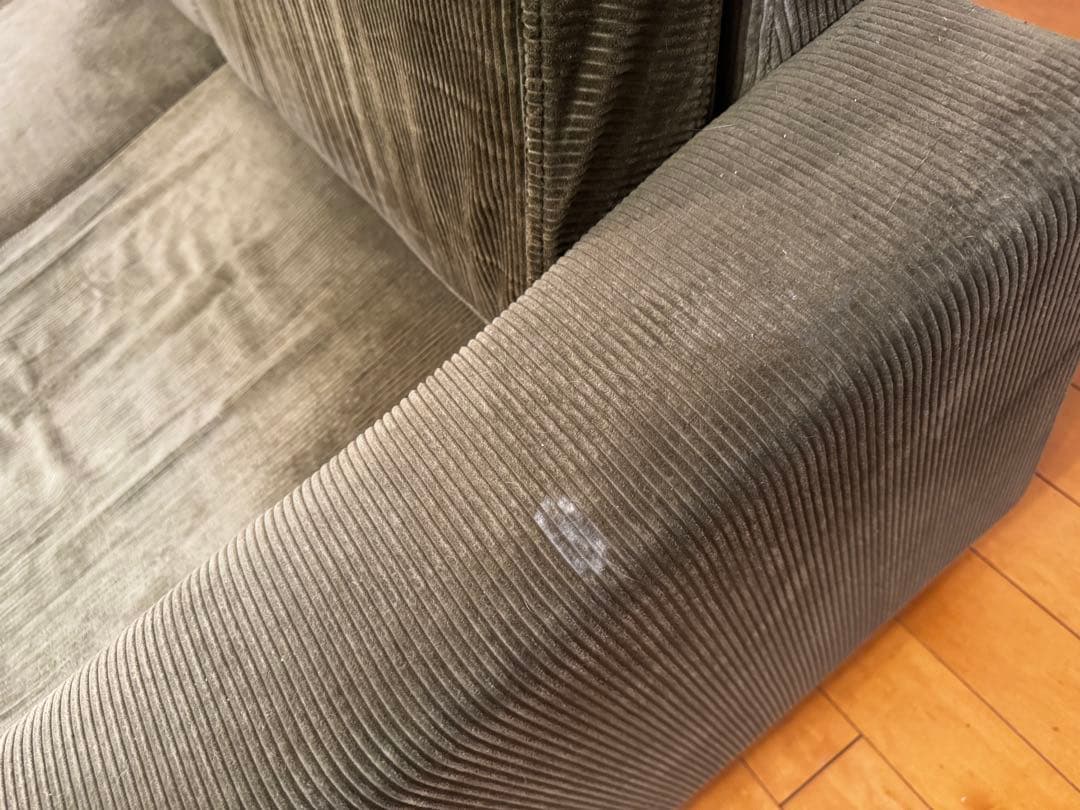 raven　ジャーナルスタンダードファニチャー　オリーブグリーン