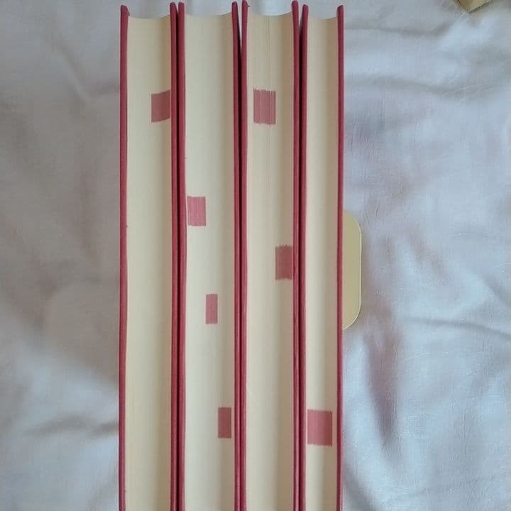 ［超貴重］トリガーポイントマニュアル 　筋筋膜と機能障害