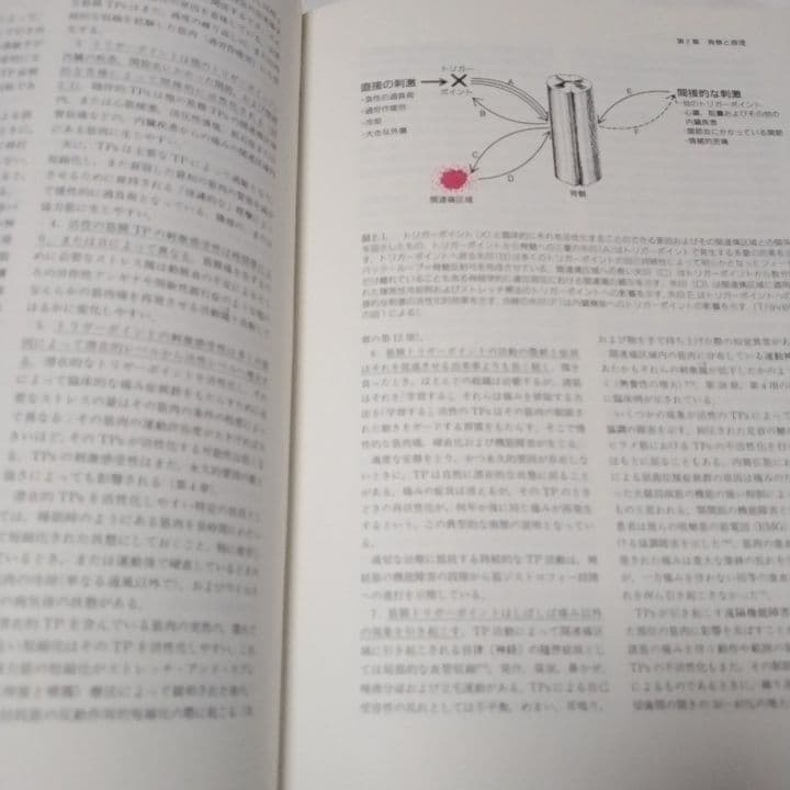 ［超貴重］トリガーポイントマニュアル 　筋筋膜と機能障害