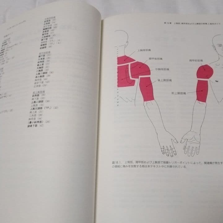 ［超貴重］トリガーポイントマニュアル 　筋筋膜と機能障害