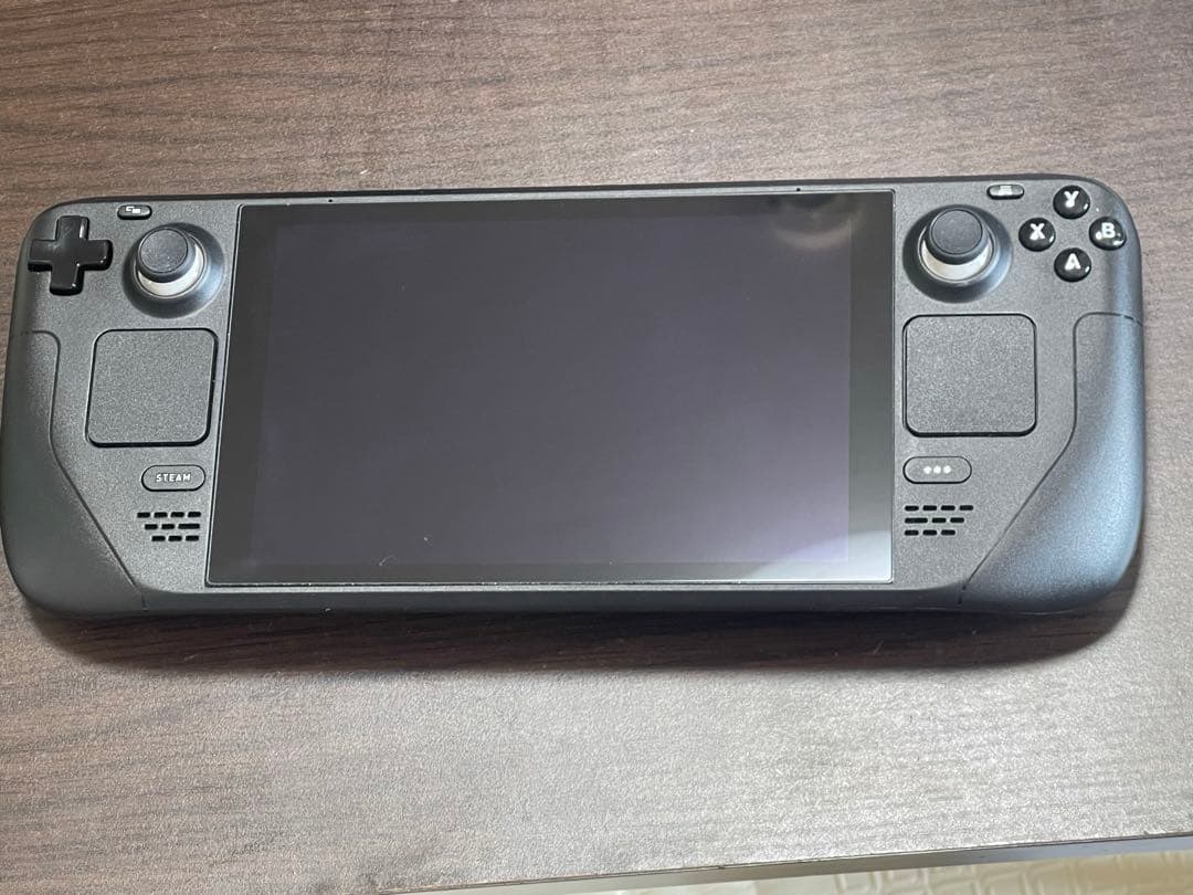 初期steam deck 64gb→1tb換装品