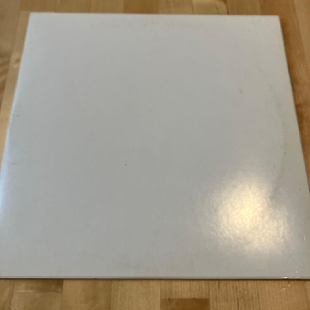 【レア盤】Pro Era - Like Water 12inch レコード