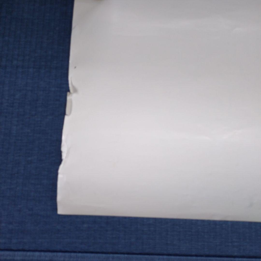 難アリ※ドラゴンボールZ(DRAGONBALL)非売品ポスター