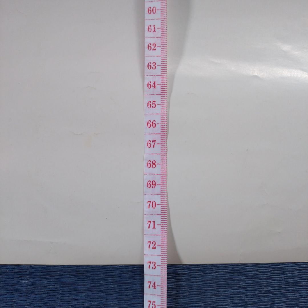 難アリ※ドラゴンボールZ(DRAGONBALL)非売品ポスター