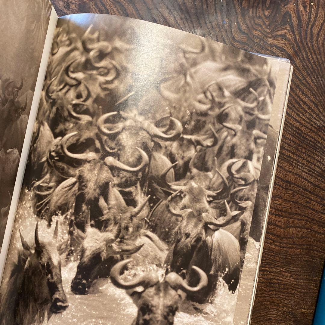 洋書 The great migration