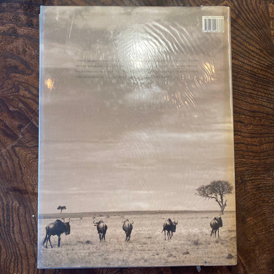 洋書 The great migration