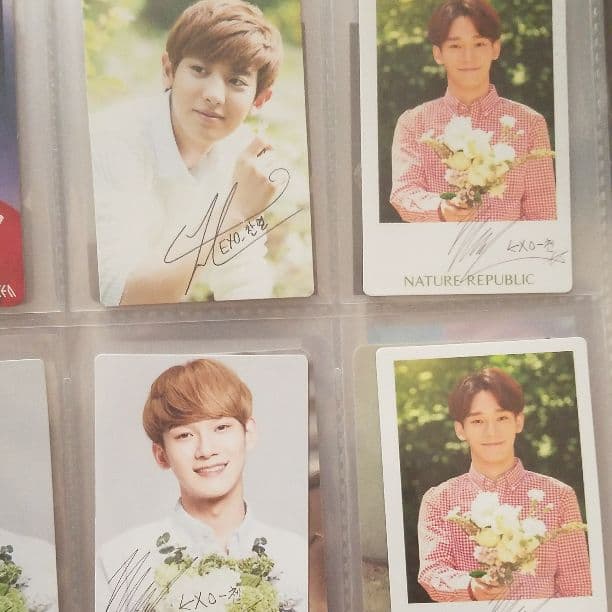 【公式】EXO ネイリパ トレカ