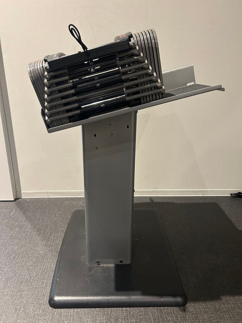 スタンド込み POWERBLOCK 50 パワーブロック50（22kg）正規品②