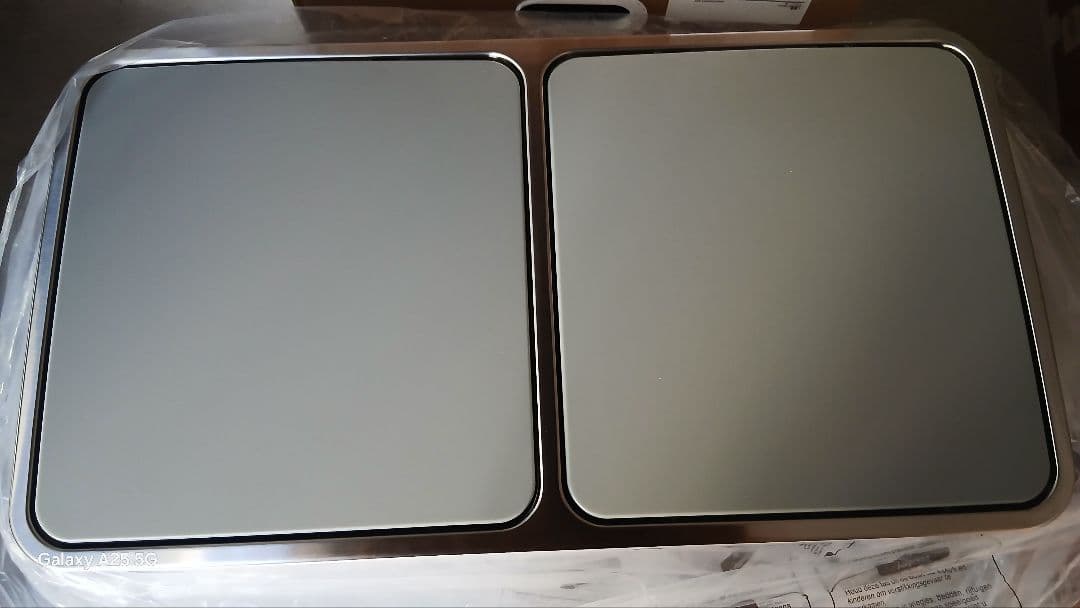 #新品　ゴミ箱 ダストボックス 2分別ペダル式 2x30L ステンレス