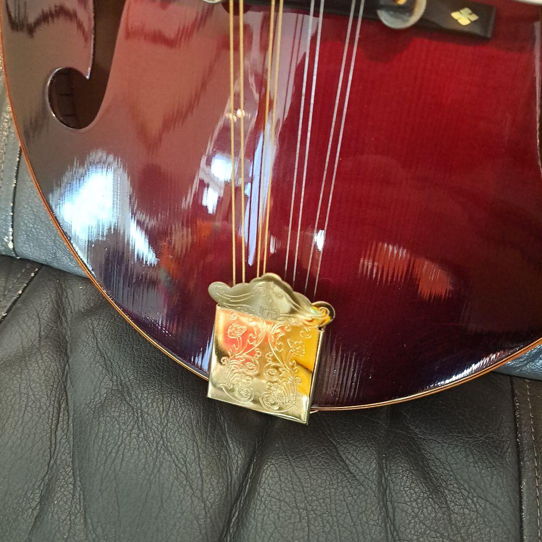 超希少！アイバニーズ 524ヴィンテージ、フラットマンドリン！