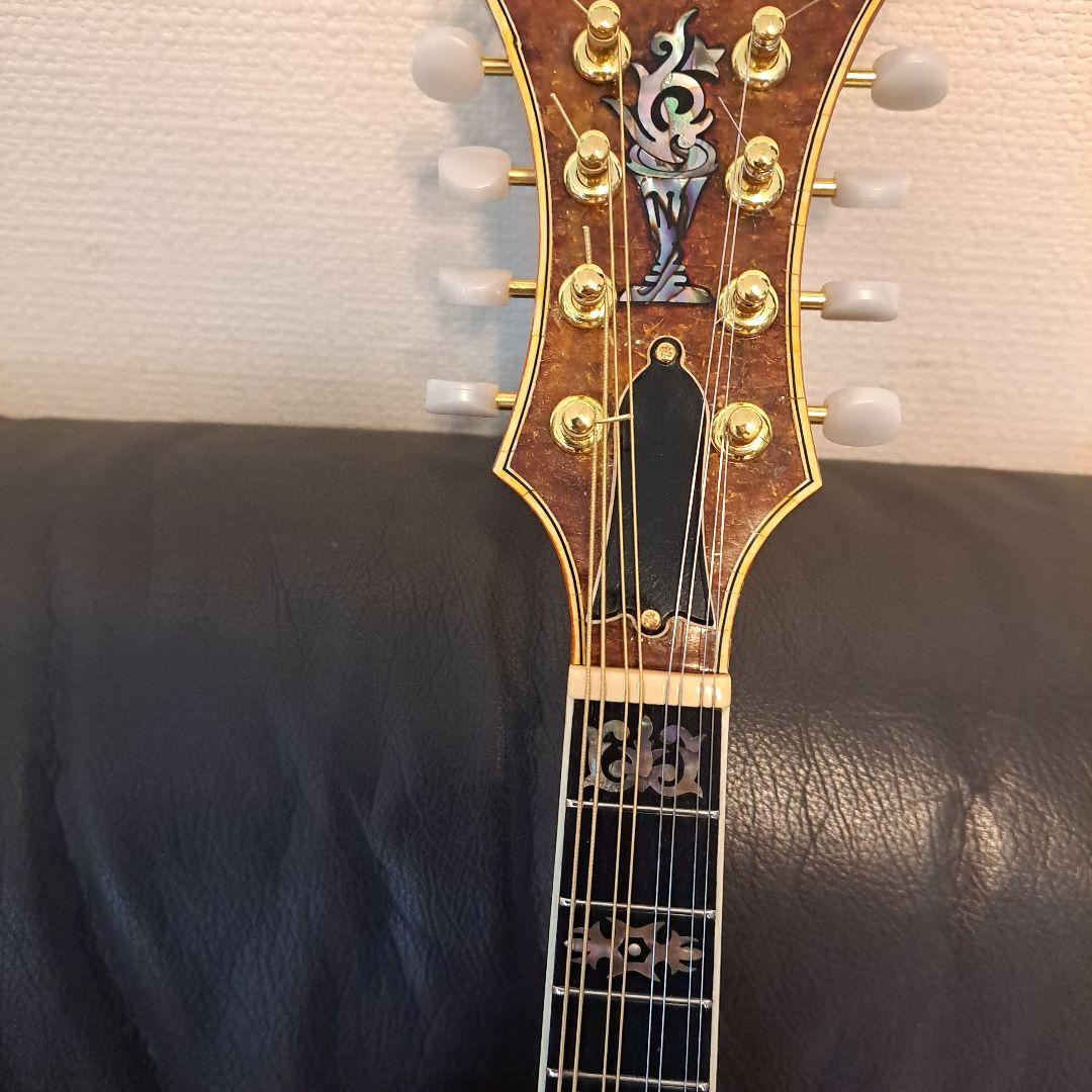 超希少！アイバニーズ 524ヴィンテージ、フラットマンドリン！