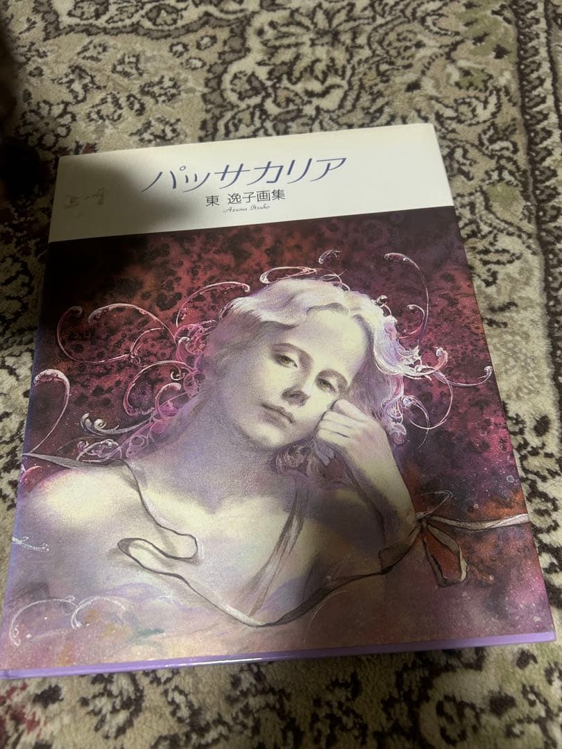 パッサカリア　東逸子さんの画集　絶版