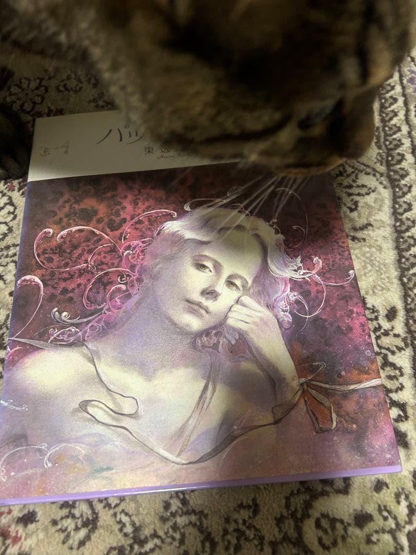 パッサカリア　東逸子さんの画集　絶版