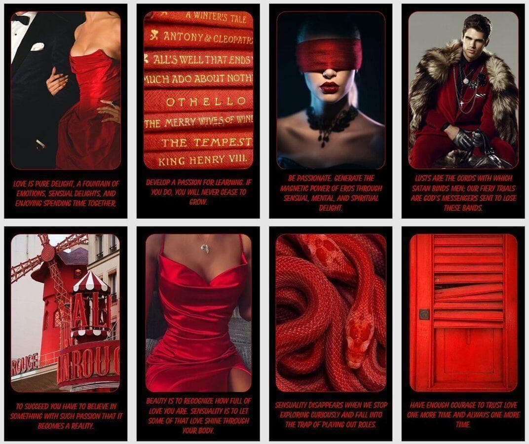 【正規品オラクルカード】おしゃれでクール✨赤と黒の個性カラー✨情熱と官能のデッキ