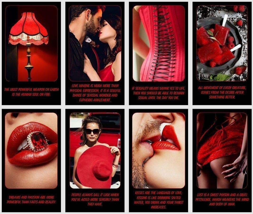 【正規品オラクルカード】おしゃれでクール✨赤と黒の個性カラー✨情熱と官能のデッキ