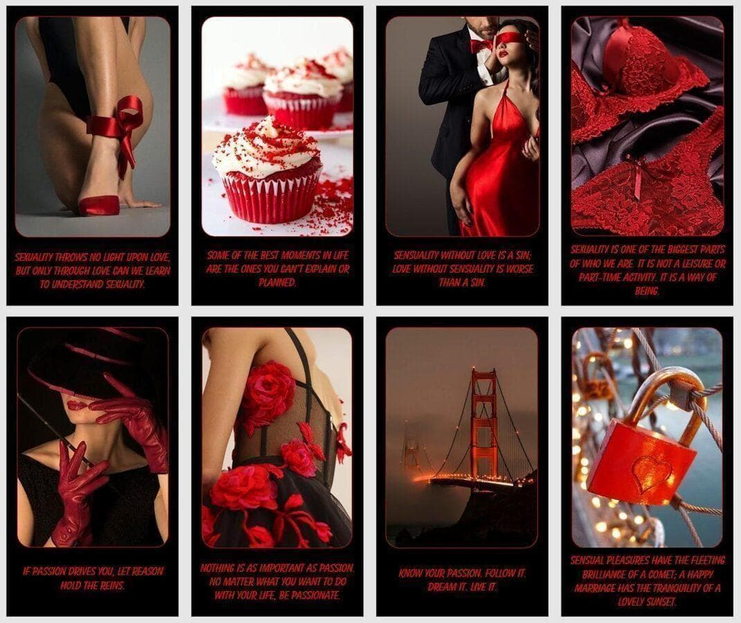 【正規品オラクルカード】おしゃれでクール✨赤と黒の個性カラー✨情熱と官能のデッキ